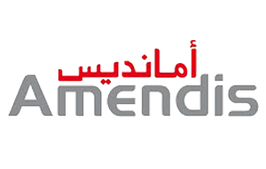 Amendis